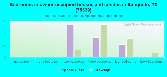 Bedrooms in owner-occupied houses and condos in Banquete, TX (78339) 
