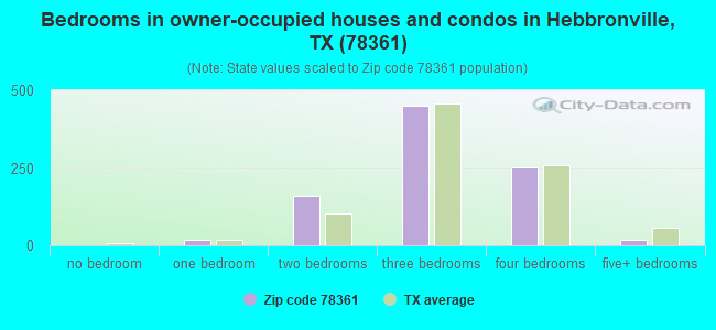 Bedrooms in owner-occupied houses and condos in Hebbronville, TX (78361) 
