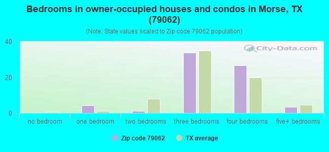 Bedrooms in owner-occupied houses and condos in Morse, TX (79062) 