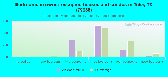 Bedrooms in owner-occupied houses and condos in Tulia, TX (79088) 