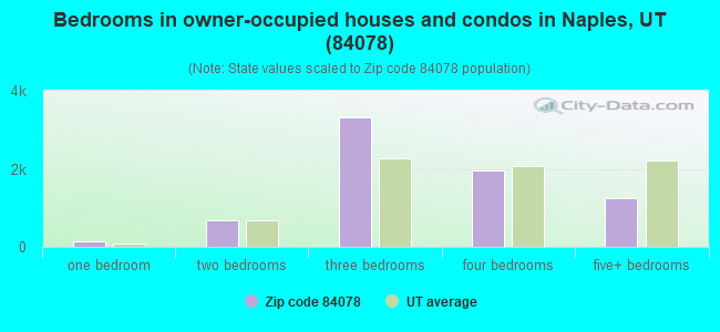 Bedrooms in owner-occupied houses and condos in Naples, UT (84078) 