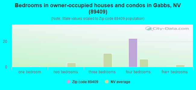 Bedrooms in owner-occupied houses and condos in Gabbs, NV (89409) 