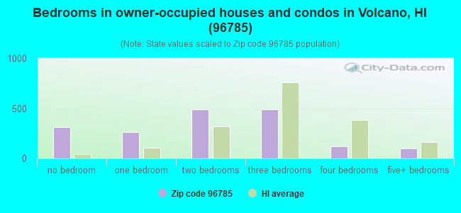 Bedrooms in owner-occupied houses and condos in Volcano, HI (96785) 
