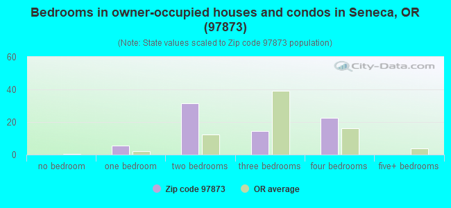 Bedrooms in owner-occupied houses and condos in Seneca, OR (97873) 