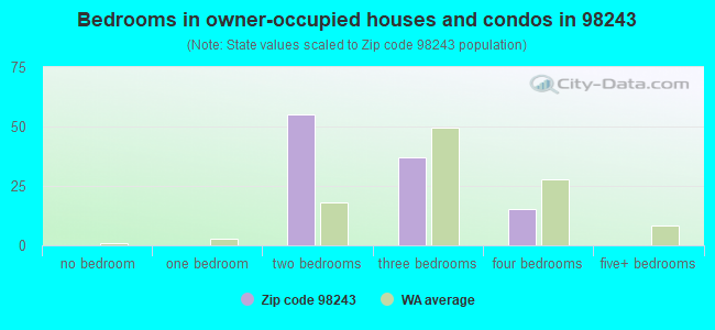 Bedrooms in owner-occupied houses and condos in 98243 