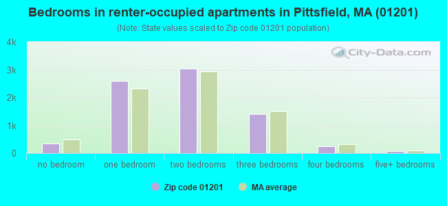 Bedrooms in renter-occupied apartments in Pittsfield, MA (01201) 