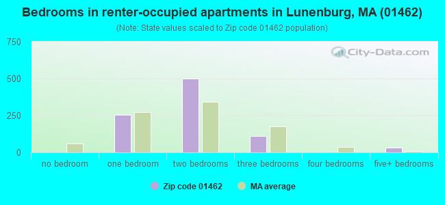 Bedrooms in renter-occupied apartments in Lunenburg, MA (01462) 