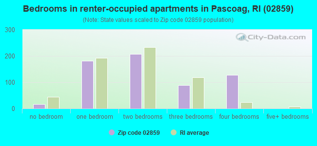 Bedrooms in renter-occupied apartments in Pascoag, RI (02859) 