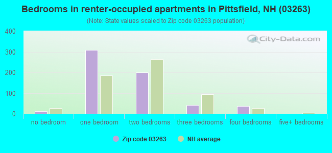Bedrooms in renter-occupied apartments in Pittsfield, NH (03263) 