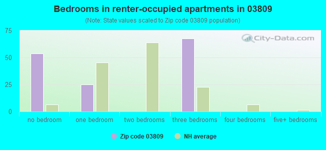 Bedrooms in renter-occupied apartments in 03809 