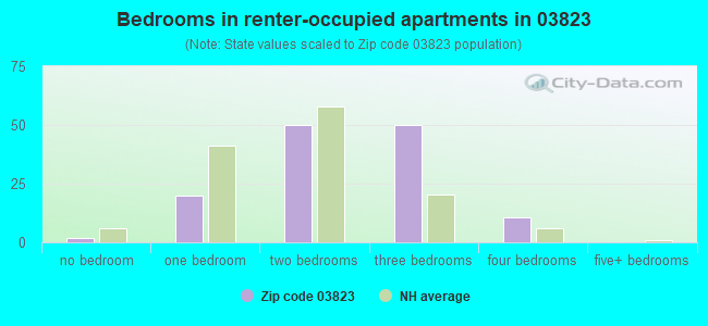 Bedrooms in renter-occupied apartments in 03823 