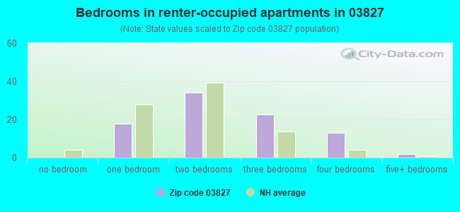 Bedrooms in renter-occupied apartments in 03827 