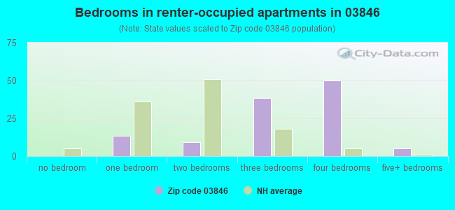 Bedrooms in renter-occupied apartments in 03846 