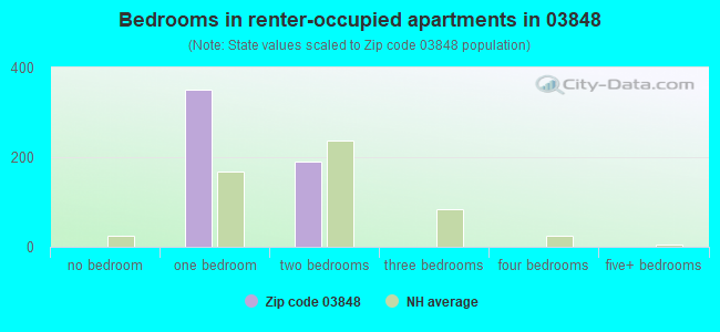 Bedrooms in renter-occupied apartments in 03848 
