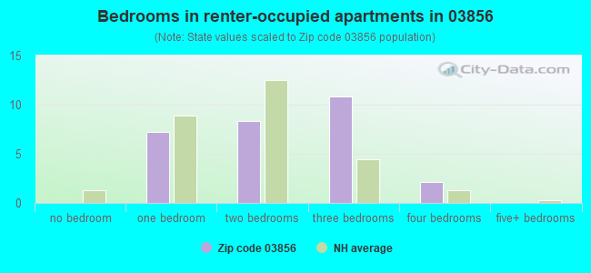 Bedrooms in renter-occupied apartments in 03856 