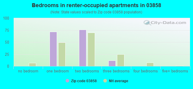 Bedrooms in renter-occupied apartments in 03858 