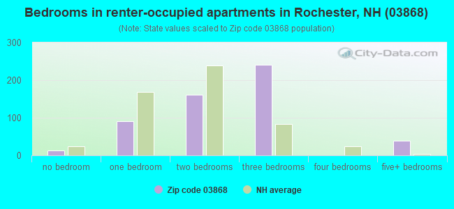 Bedrooms in renter-occupied apartments in Rochester, NH (03868) 