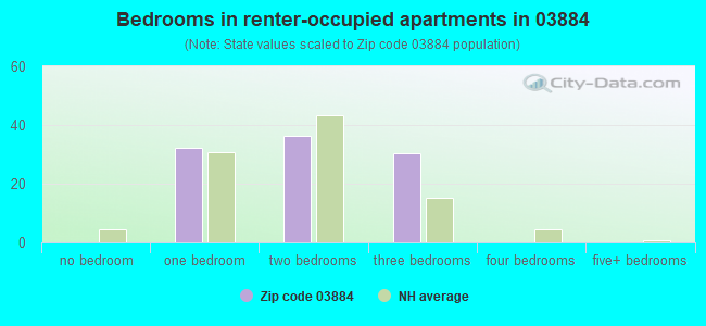 Bedrooms in renter-occupied apartments in 03884 