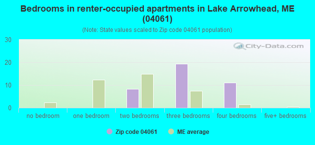 Bedrooms in renter-occupied apartments in Lake Arrowhead, ME (04061) 