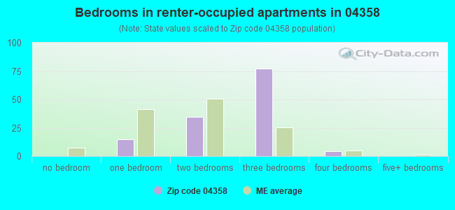 Bedrooms in renter-occupied apartments in 04358 