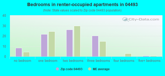Bedrooms in renter-occupied apartments in 04493 