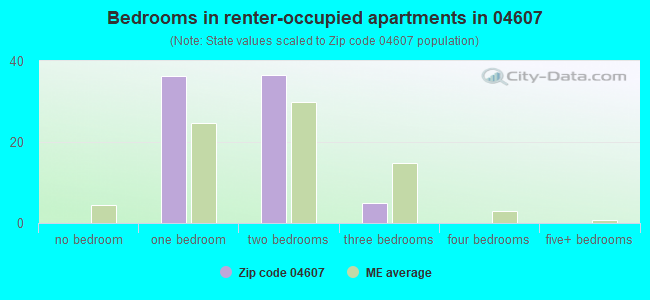 Bedrooms in renter-occupied apartments in 04607 