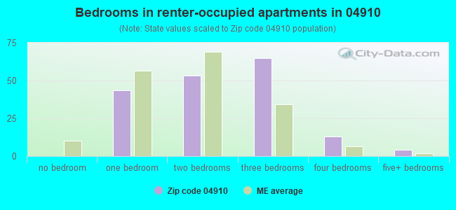 Bedrooms in renter-occupied apartments in 04910 