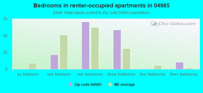 Bedrooms in renter-occupied apartments in 04965 