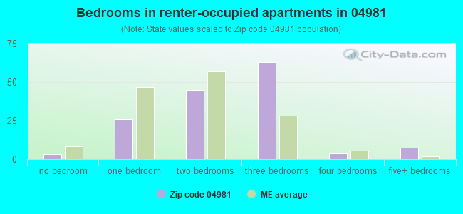 Bedrooms in renter-occupied apartments in 04981 