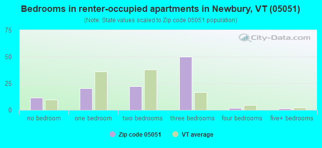 Bedrooms in renter-occupied apartments in Newbury, VT (05051) 