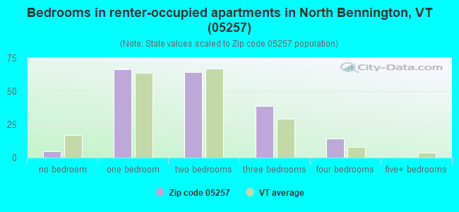 Bedrooms in renter-occupied apartments in North Bennington, VT (05257) 