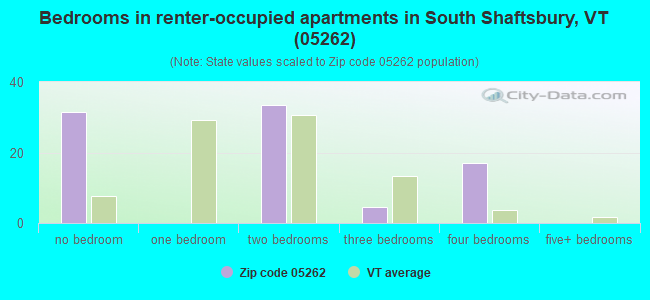 Bedrooms in renter-occupied apartments in South Shaftsbury, VT (05262) 