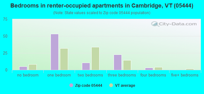 Bedrooms in renter-occupied apartments in Cambridge, VT (05444) 