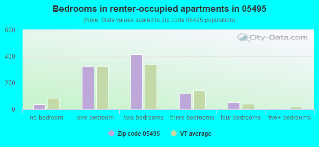 Bedrooms in renter-occupied apartments in 05495 
