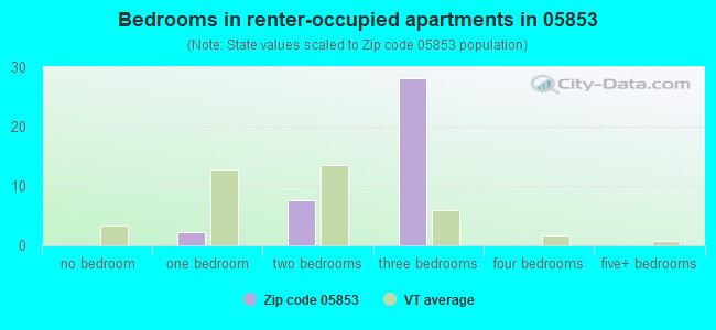 Bedrooms in renter-occupied apartments in 05853 