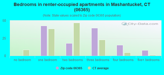 Bedrooms in renter-occupied apartments in Mashantucket, CT (06365) 