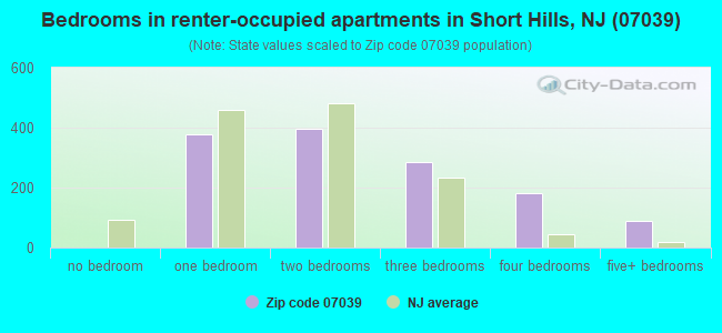 Bedrooms in renter-occupied apartments in Short Hills, NJ (07039) 