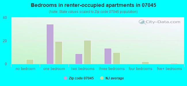 Bedrooms in renter-occupied apartments in 07045 