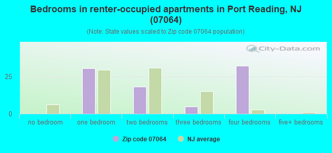 Bedrooms in renter-occupied apartments in Port Reading, NJ (07064) 