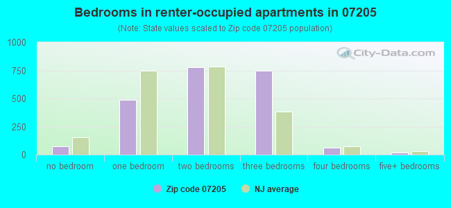 Bedrooms in renter-occupied apartments in 07205 