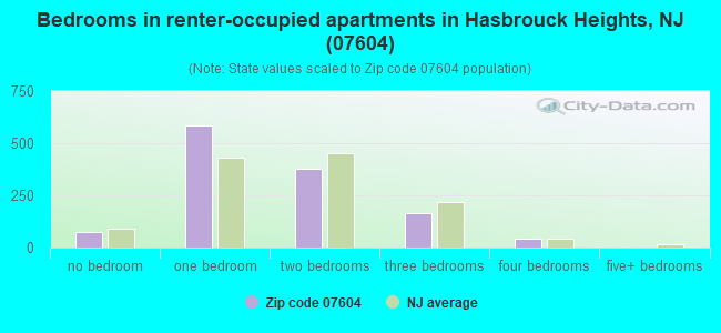 Bedrooms in renter-occupied apartments in Hasbrouck Heights, NJ (07604) 