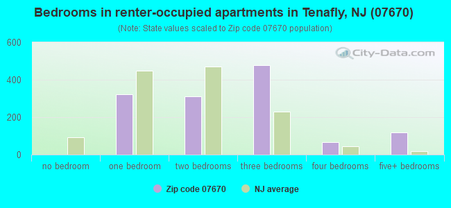 Bedrooms in renter-occupied apartments in Tenafly, NJ (07670) 