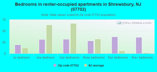 Bedrooms in renter-occupied apartments in Shrewsbury, NJ (07702) 