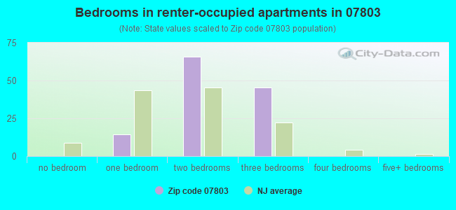 Bedrooms in renter-occupied apartments in 07803 
