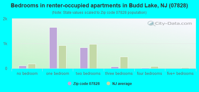 Bedrooms in renter-occupied apartments in Budd Lake, NJ (07828) 