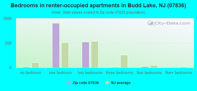 Bedrooms in renter-occupied apartments in Budd Lake, NJ (07836) 