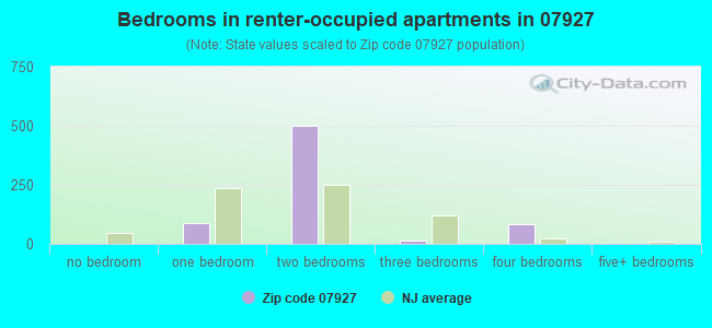 Bedrooms in renter-occupied apartments in 07927 