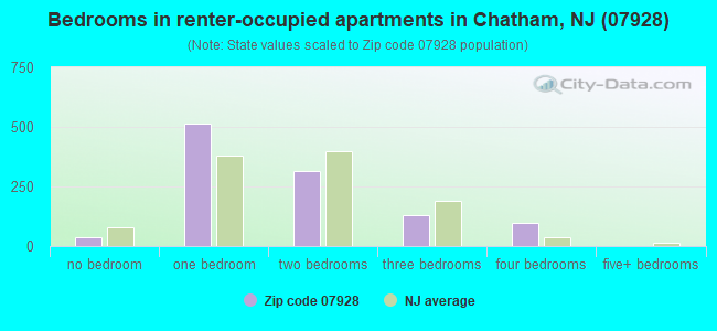 Bedrooms in renter-occupied apartments in Chatham, NJ (07928) 