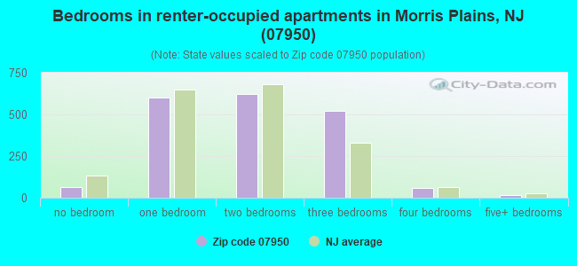 Bedrooms in renter-occupied apartments in Morris Plains, NJ (07950) 