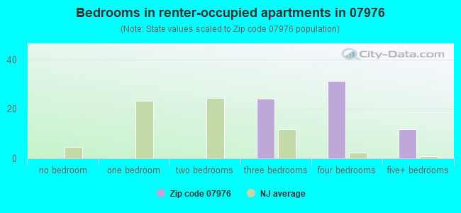 Bedrooms in renter-occupied apartments in 07976 